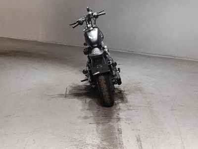 Harley-Davidson Sportster Iron XL883N 2018