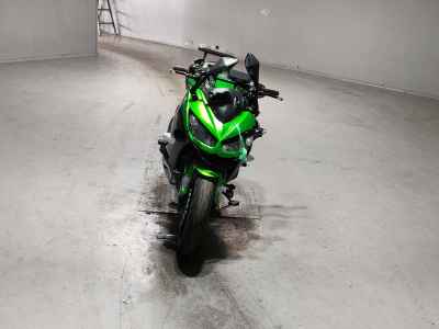 Kawasaki Ninja 1000 2021