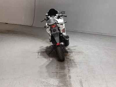 Kawasaki Ninja 250R 2010