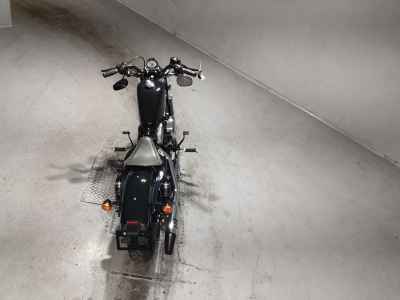 Harley-Davidson Sportster Forty-Eight XL1200X 2022