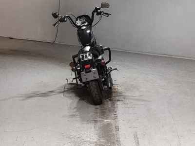 Harley-Davidson Sportster XL1200NS 2019