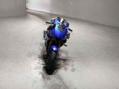 Yamaha YZF-R3 2019