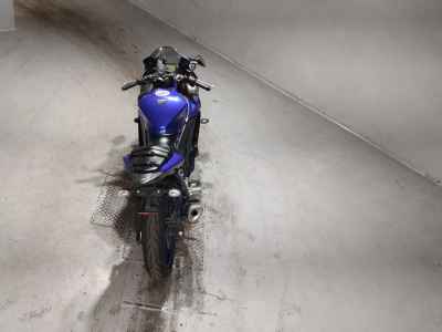 Yamaha YZF-R3 2019