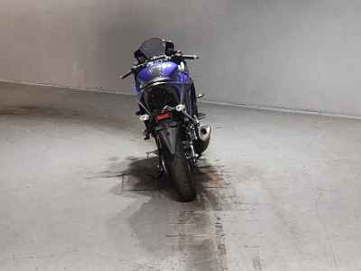 Yamaha YZF-R3 2019