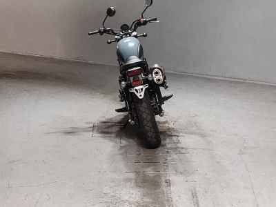 Honda CL250 2023