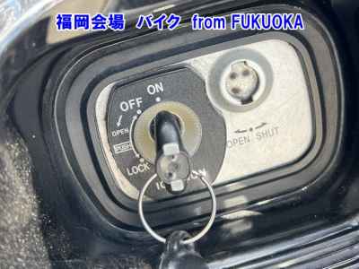 Yamaha Maxam 250 2010