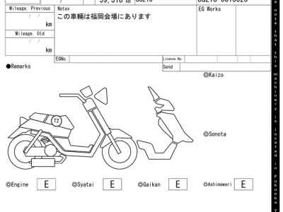Yamaha Maxam 250 2010