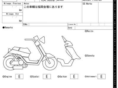 Suzuki Skywave 250