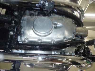 Kawasaki W800 2024