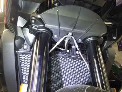 BMW R100R Mystic 2024
