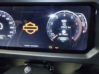 Harley-Davidson Road Glide FLTRX1920 2025