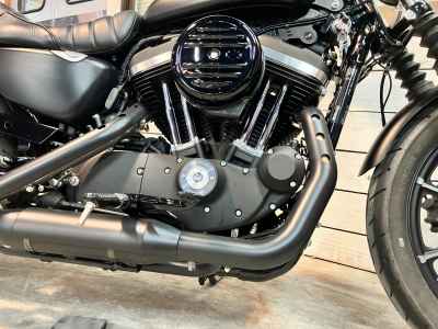 Harley-Davidson Sportster Iron XL883N 2019