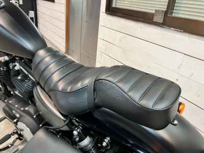 Harley-Davidson Sportster Iron XL883N 2019