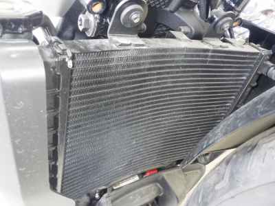 Harley-Davidson Nightster RH975 2022