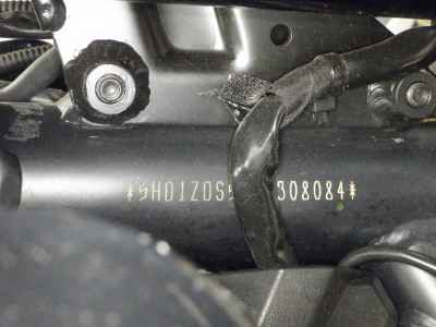 Harley-Davidson Pan America 1250 2021