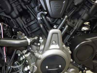 Harley-Davidson Nightster RH975S 2023