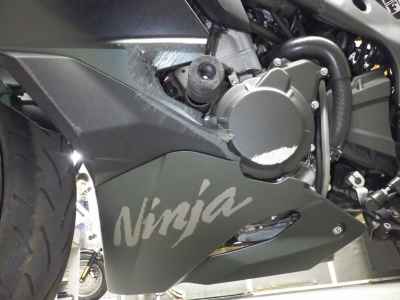 Kawasaki Ninja ZX-4R 2025