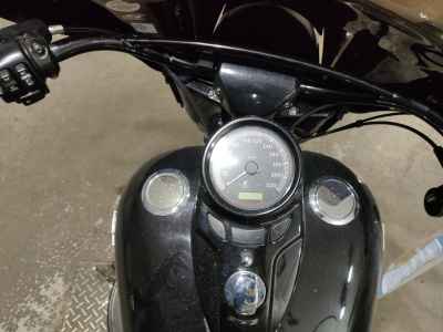 Harley-Davidson Slim FLS1580 2015
