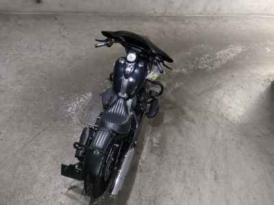 Harley-Davidson Slim FLS1580 2015