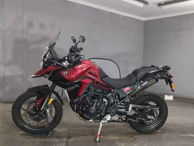 Triumph Tiger 900 GT Pro 2024