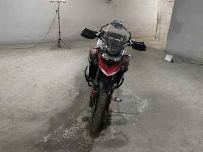 Triumph Tiger 900 GT Pro 2024