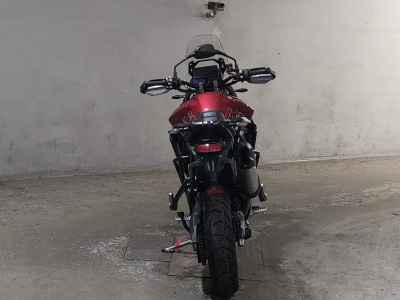 Triumph Tiger 900 GT Pro 2024
