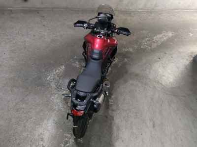 Triumph Tiger 900 GT Pro 2024