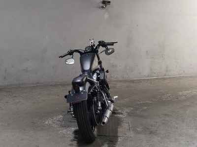 Harley-Davidson Sportster Forty-Eight XL1200X 2013