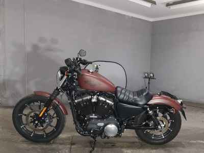 Harley-Davidson Sportster Iron XL883N 2017