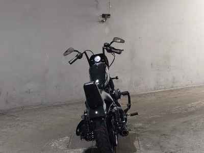 Harley-Davidson Sportster XL1200NS 2020
