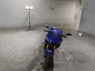 Yamaha YZF-R3 2019