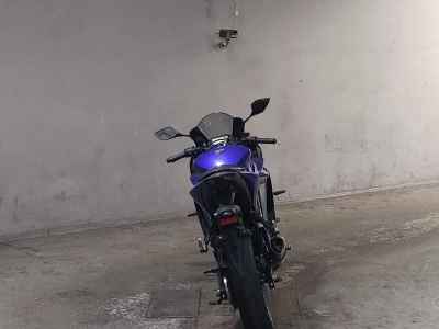 Yamaha YZF-R3 2019