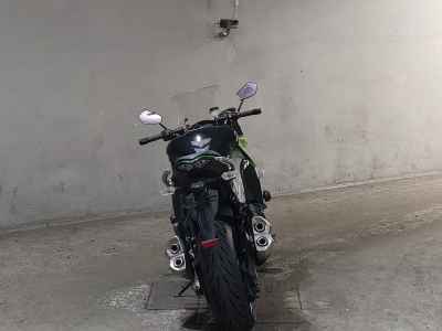 Kawasaki Ninja 1000 2011