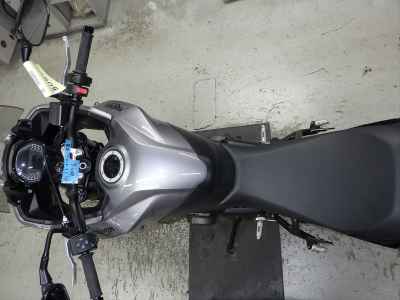 Triumph Tiger Sport 660 2024