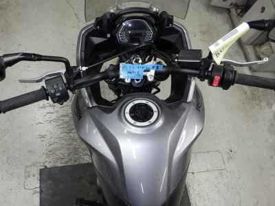 Triumph Tiger Sport 660 2024