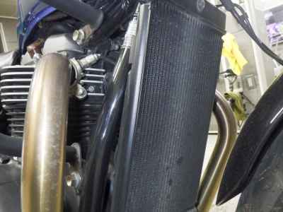 Triumph Street Twin 2021