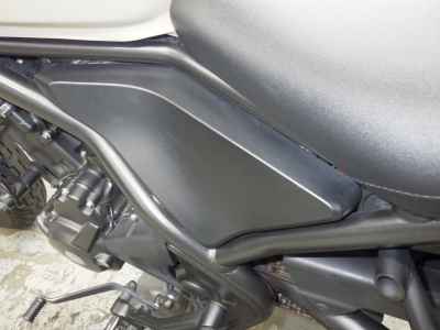 Honda Rebel CMX250 2019
