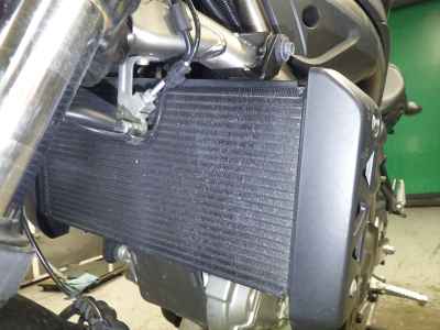 Suzuki SV650 2021