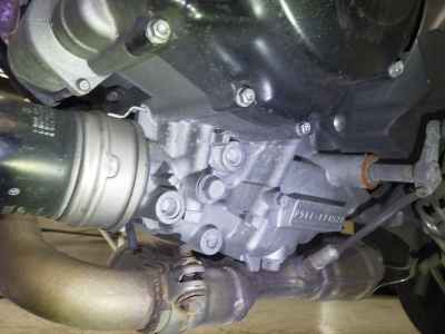 Suzuki SV650 2021