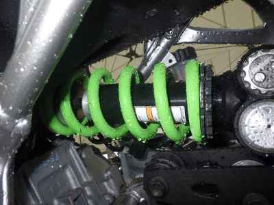 Kawasaki Ninja ZX-4RR 2024