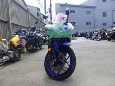 Yamaha YZF-R25 2015