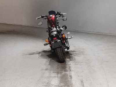 Harley-Davidson Sportster Forty-Eight XL1200X 2014