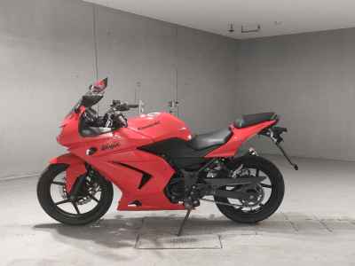 Kawasaki Ninja 250R