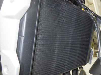 Triumph Trident 660 2021