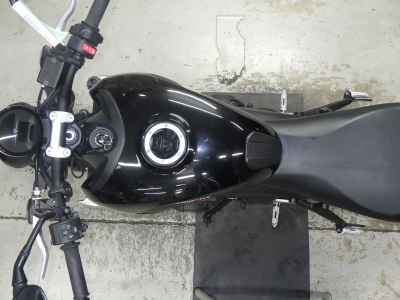 Triumph Trident 660 2021