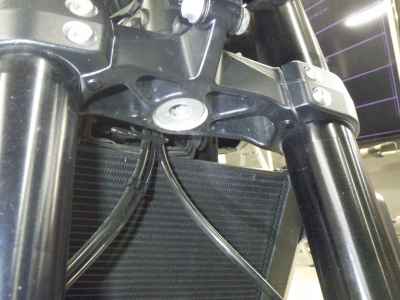 Triumph Trident 660 2021