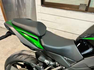 Kawasaki Ninja 1000SX 2021