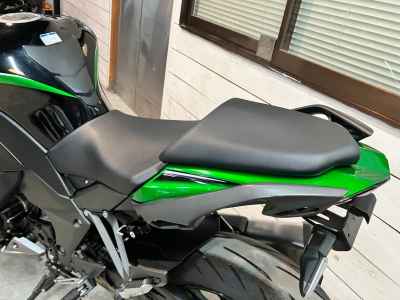 Kawasaki Ninja 1000SX 2021