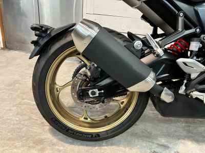 Triumph Trident 800 2026