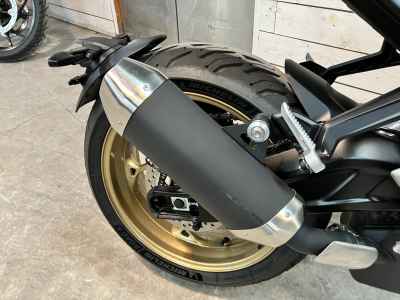 Triumph Trident 800 2026